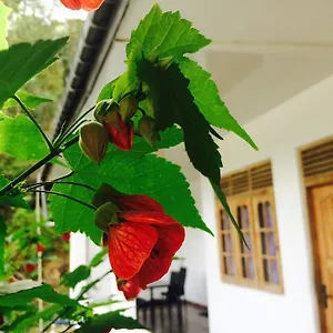 Pensjonat View Guest, Nallathanniya